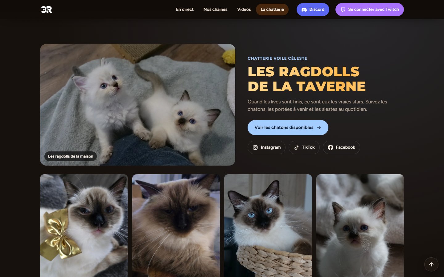 Cyde & Rinna, le QG d’un duo de streamers — visuel 2