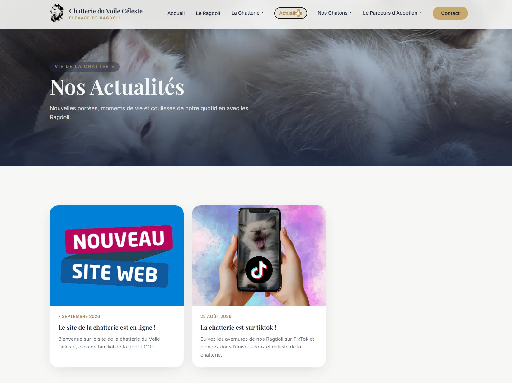 Chatterie Du Voile Céleste — visuel 2